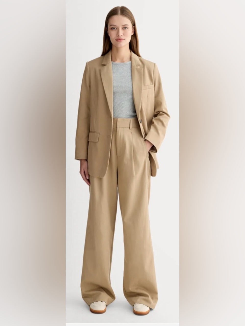 Everlane The Draper Pleated Pant in Buttersmooth Ash Brown Women's 12 Regular - Picture 1 of 8